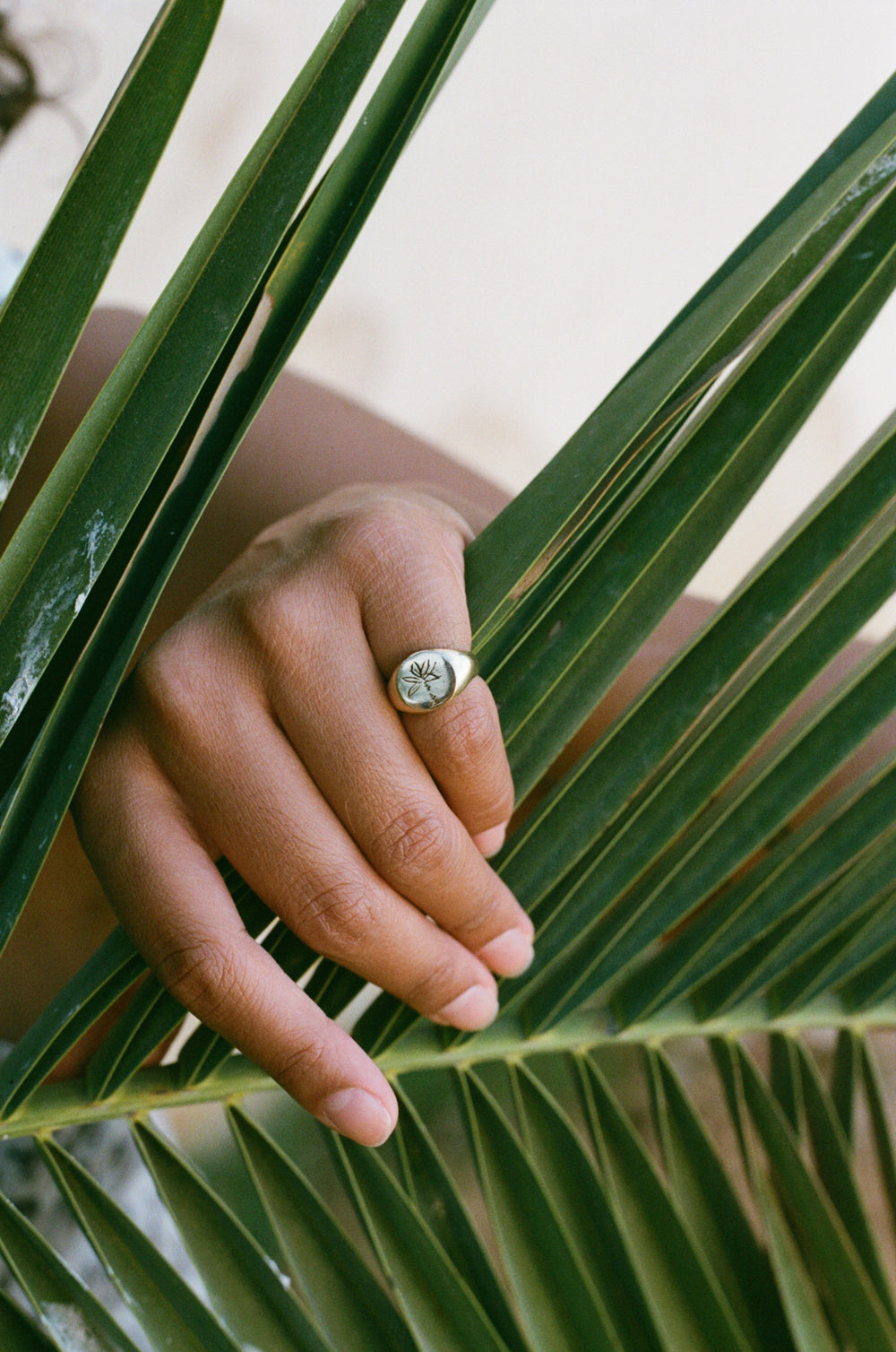 ZM Jewellery - The Endless Summer Jewellery Collection
