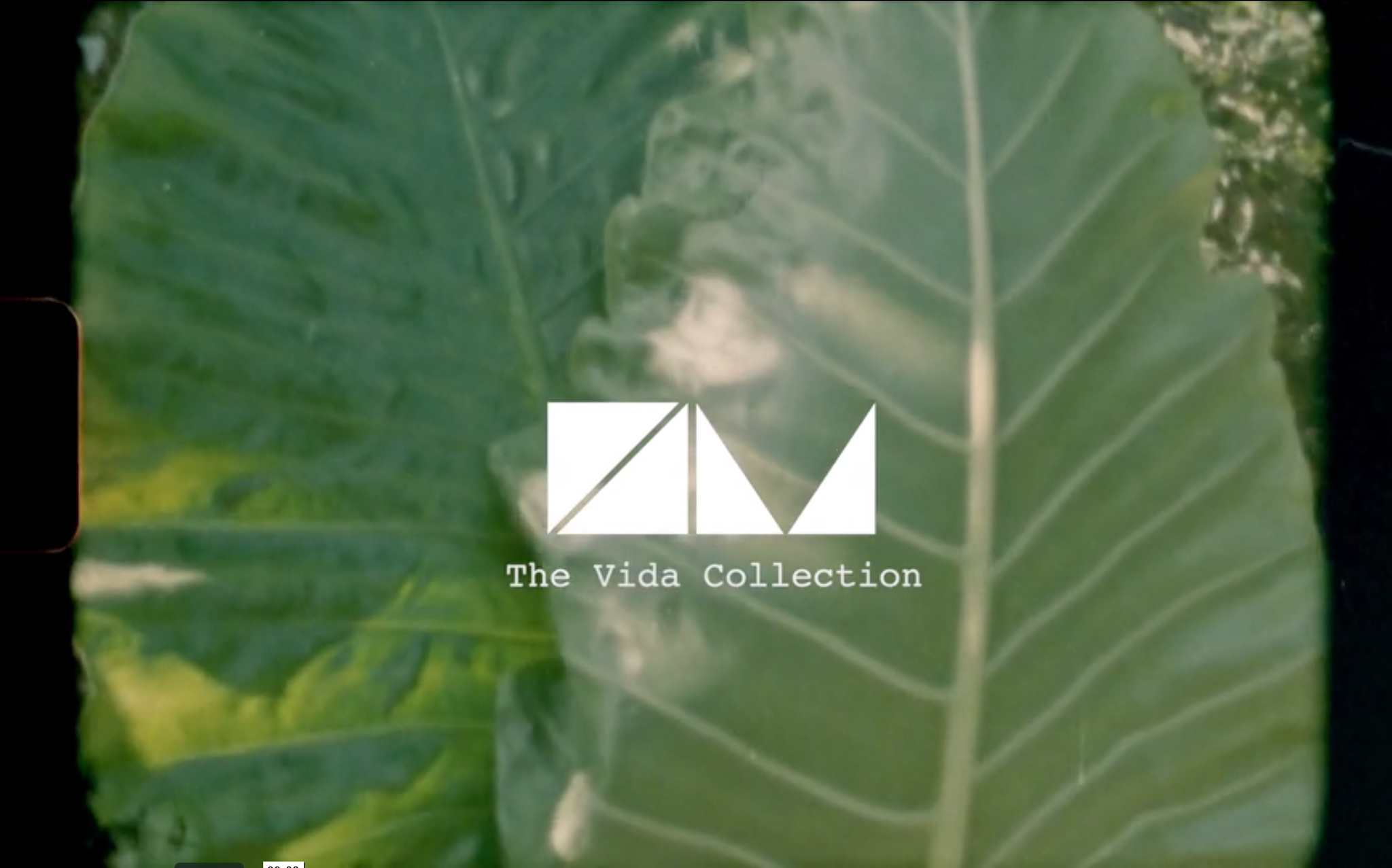 The Vida Jewellery Collection